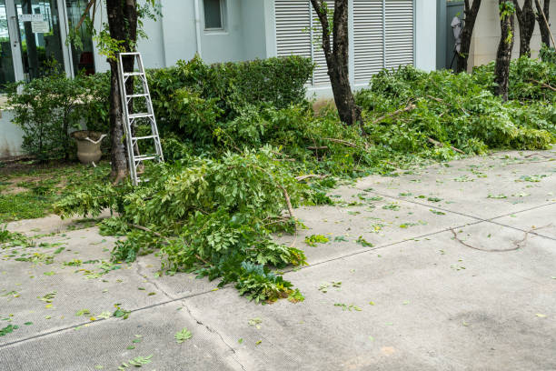 Best Tree Pruning Services  in Privateer, SC